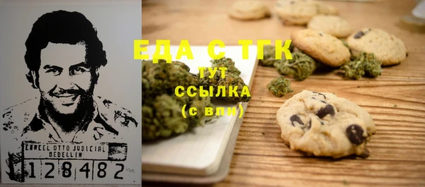 СК Новозыбков