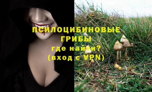 ПСИЛОЦИБИНОВЫЕ ГРИБЫ Няндома