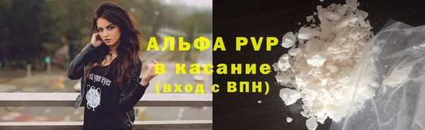 ПСИЛОЦИБИНОВЫЕ ГРИБЫ Няндома