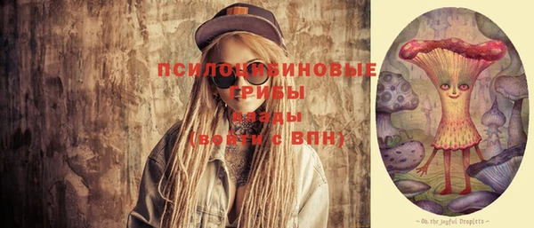 ПСИЛОЦИБИНОВЫЕ ГРИБЫ Няндома