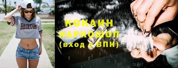 ПСИЛОЦИБИНОВЫЕ ГРИБЫ Новодвинск