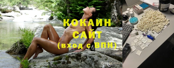 СК Новозыбков
