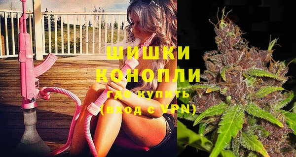 СК Новозыбков