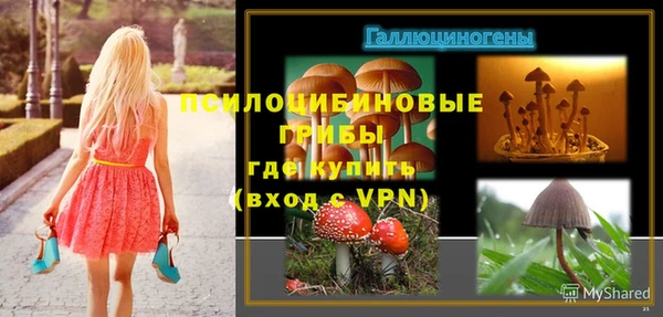 ПСИЛОЦИБИНОВЫЕ ГРИБЫ Няндома